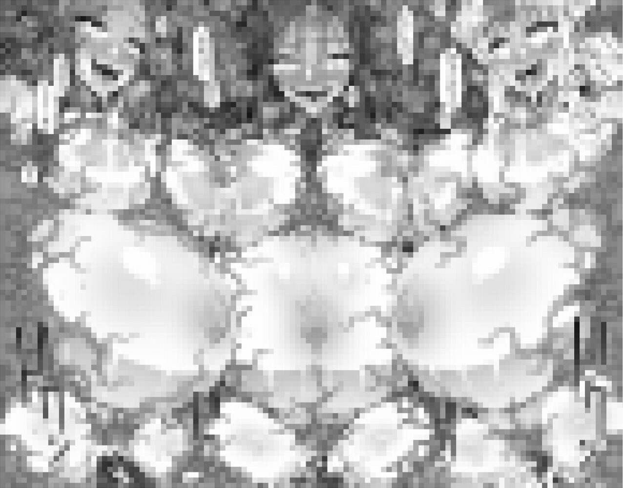 サンプル画像4:Re Notice: End of App Service(ONEGROSS) [d_357006]