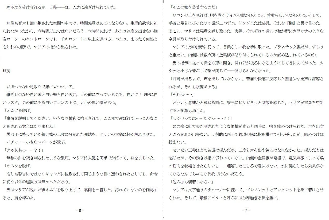 サンプル画像4:Saducation 2084(SMX工房) [d_361603]