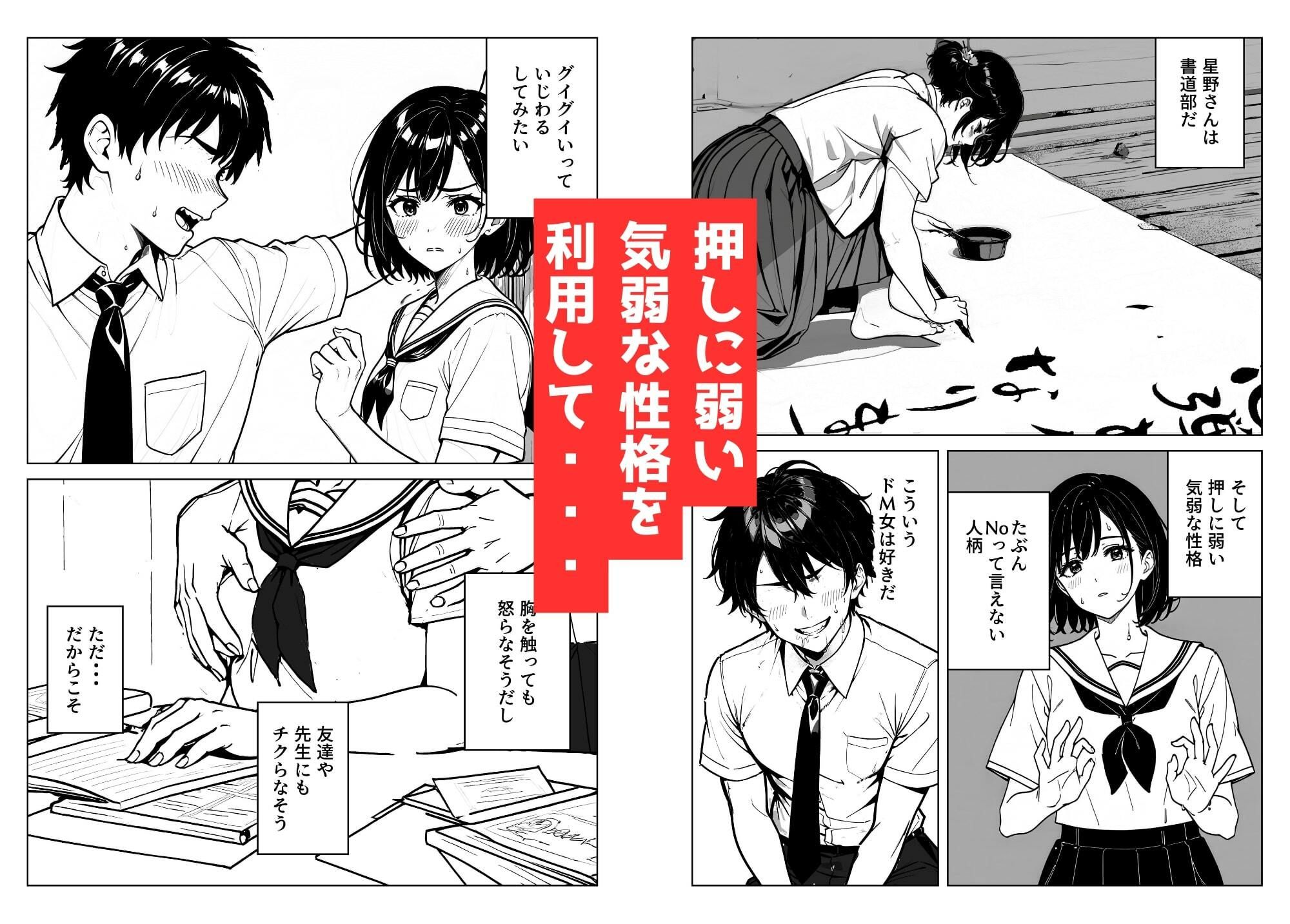 サンプル画像3:静かな子の乳首が見たい！〜無理やり制服を脱がし処女おっぱいを舐め吸いレ●イプ〜（乳首フェチ編）(ちっぱい乳首の色フェチ男) [d_368275]