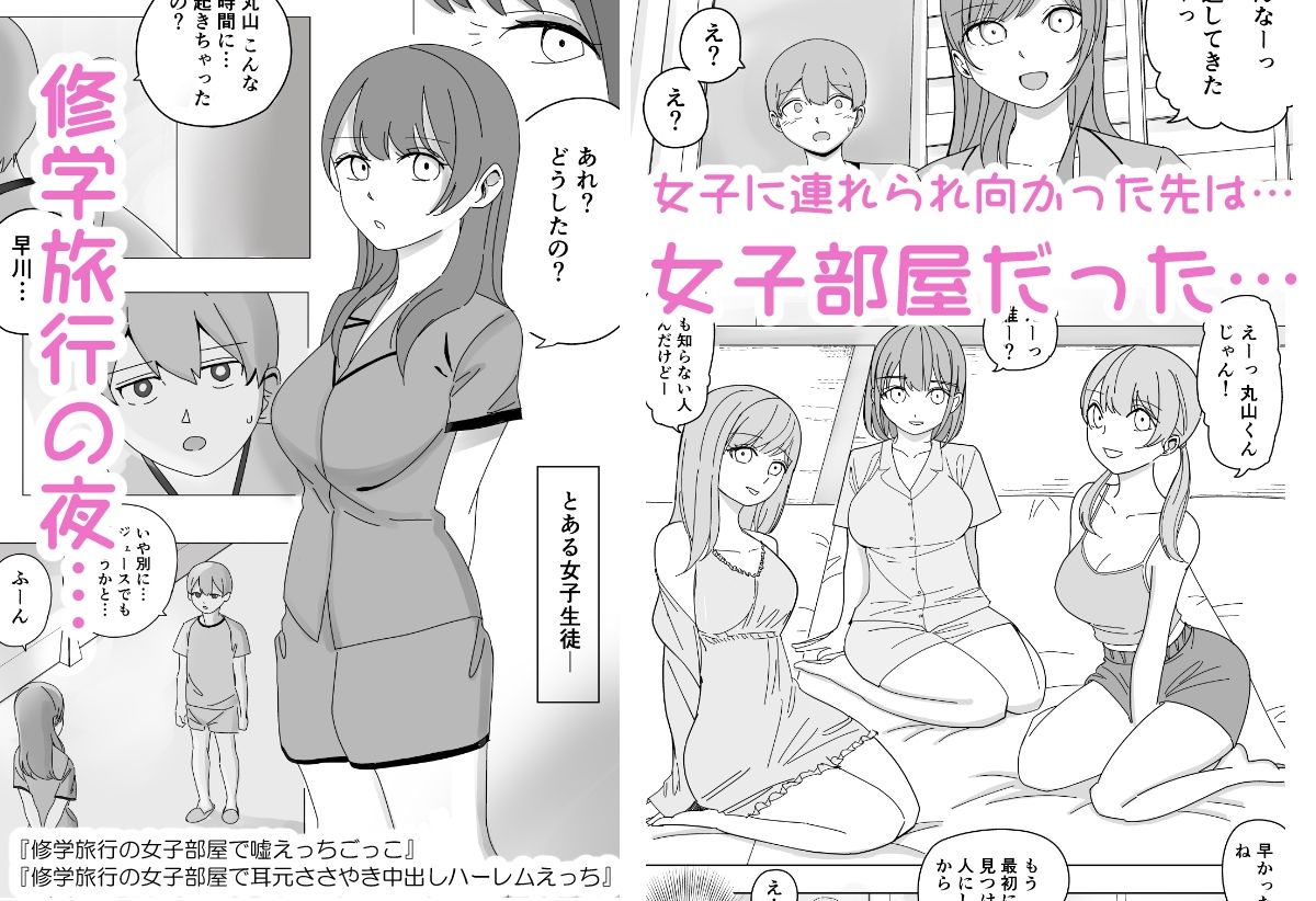 サンプル画像1:【総集編】ハーレムえっち修学旅行(こんがりオーブン) [d_369547]