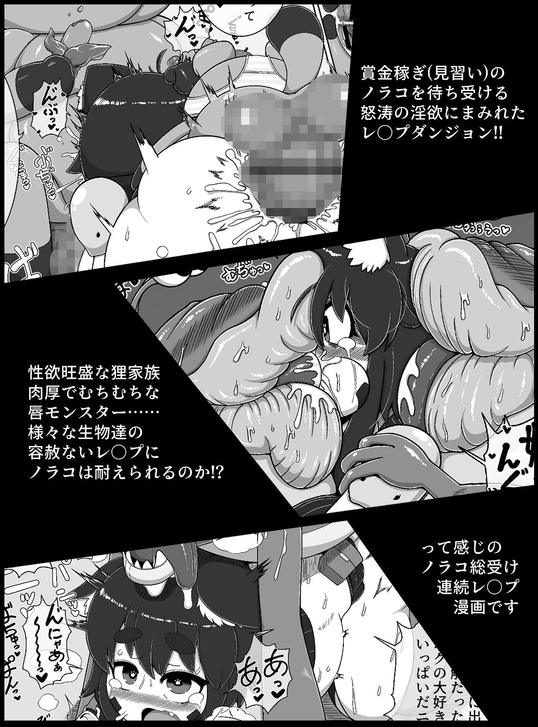 サンプル画像3:ノラコクエスト(ブギーマンファクトリー) [d_370878]