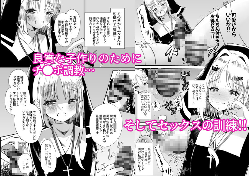 サンプル画像3:転生したら男の娘シスターさんに性教育されるも俺が無双しちゃう本(サイハテ) [d_373683]