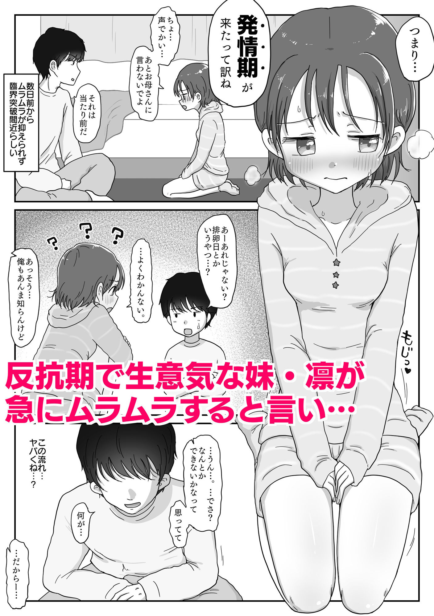 サンプル画像1:妹の発情期 〜兄である俺、性処理をせがまれて〜(わせいちご) [d_375359]