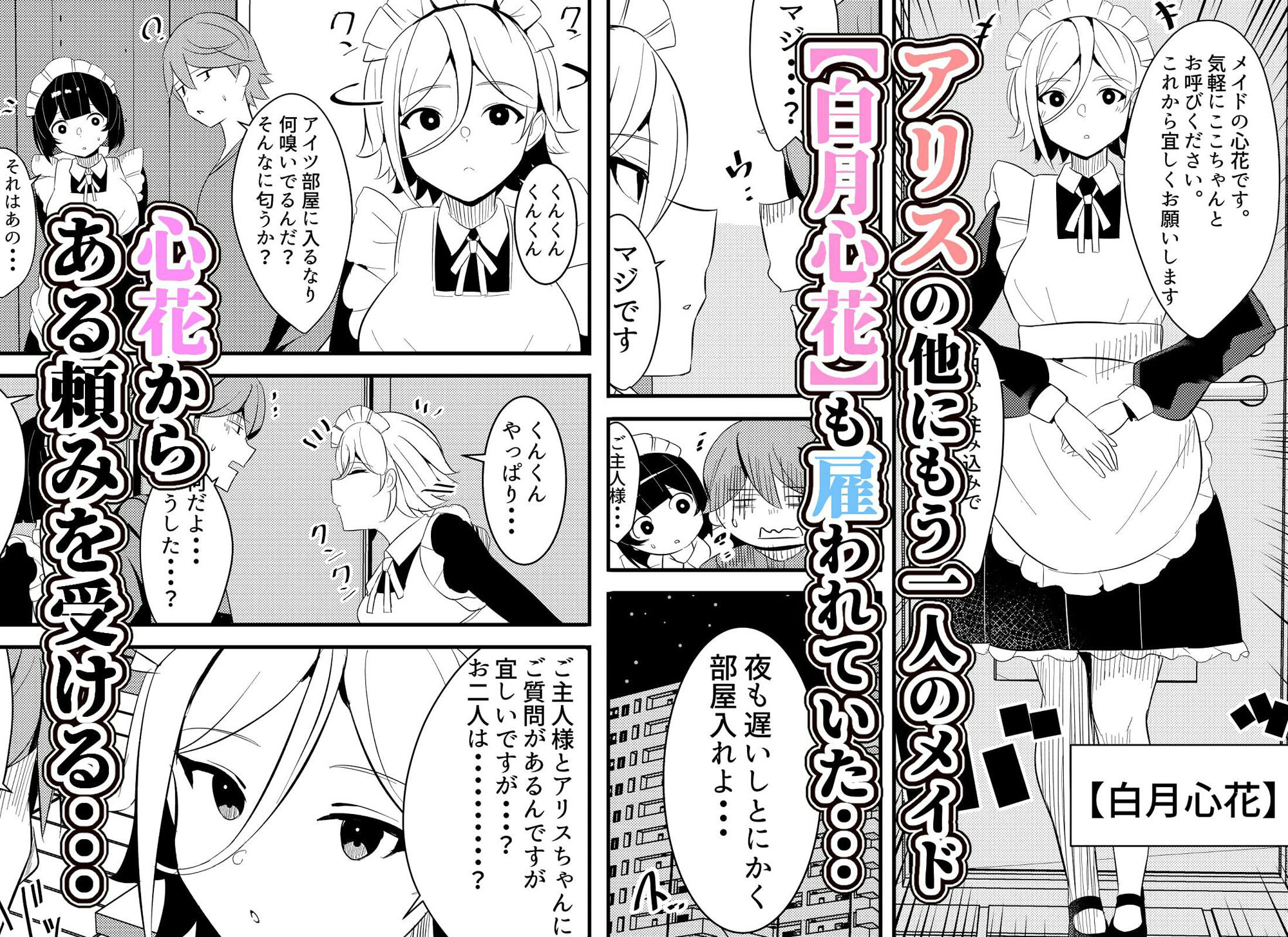 サンプル画像2:メイドちゃんと一緒。ご主人様とご奉仕メイドのヤリまくり性活2(Nanaci) [d_384847]