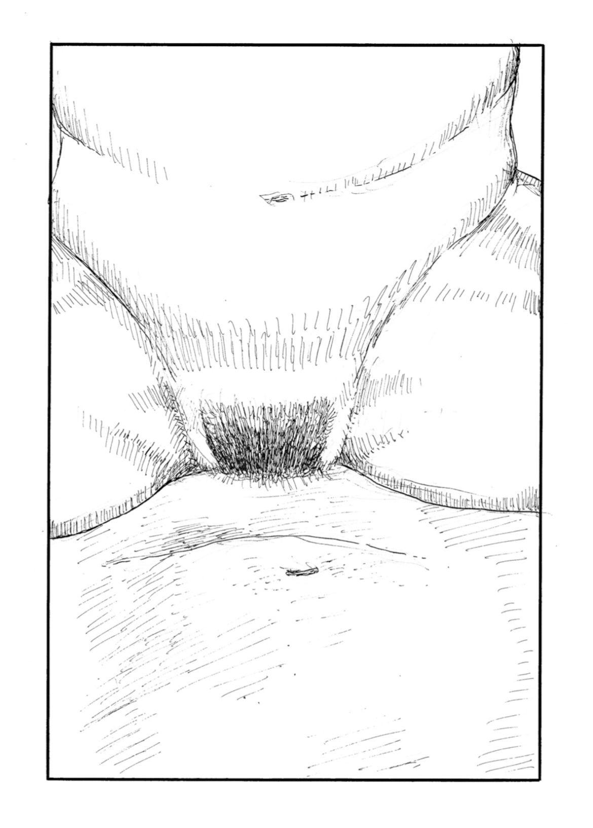 サンプル画像4:ちんぽの生えた巨乳女と挿入即射精の中出しSEX(畜生童子) [d_388154]