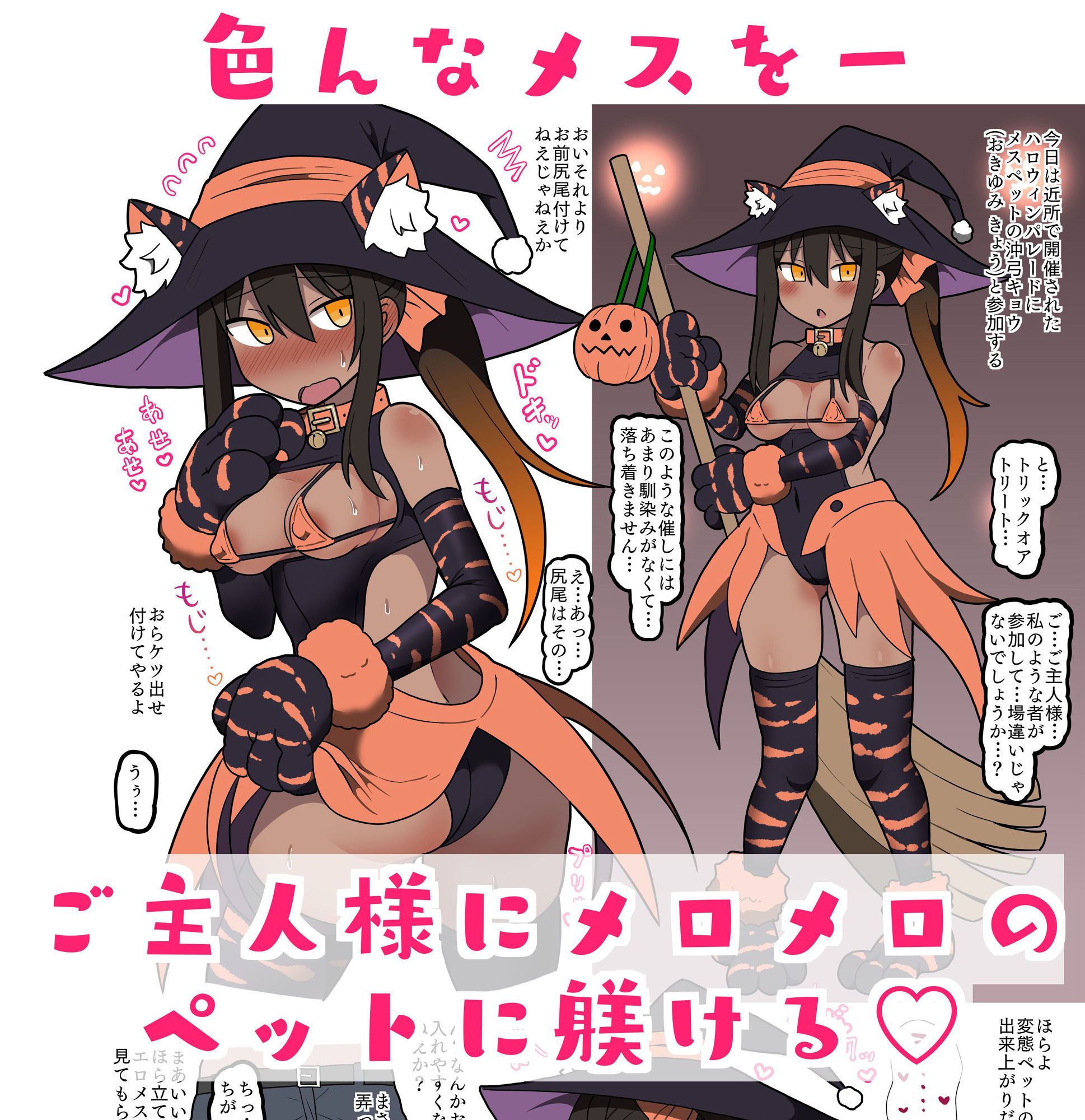 サンプル画像1:メスペットシリーズ総集編vol.3(ビードロ) [d_392347]