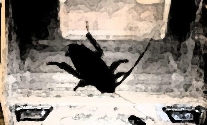 サンプル画像4:私の蟲姦遊び 26話 妊娠中に息子の部屋にいたゴキブリと卵編(シングルママの日常) [d_394632]