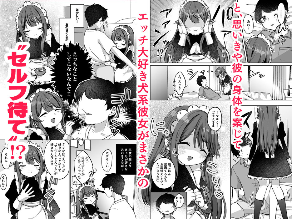 サンプル画像2:望月さくなは「待て」がデキない！3〜ご奉仕えっち編〜(I miss you！！) [d_395475]