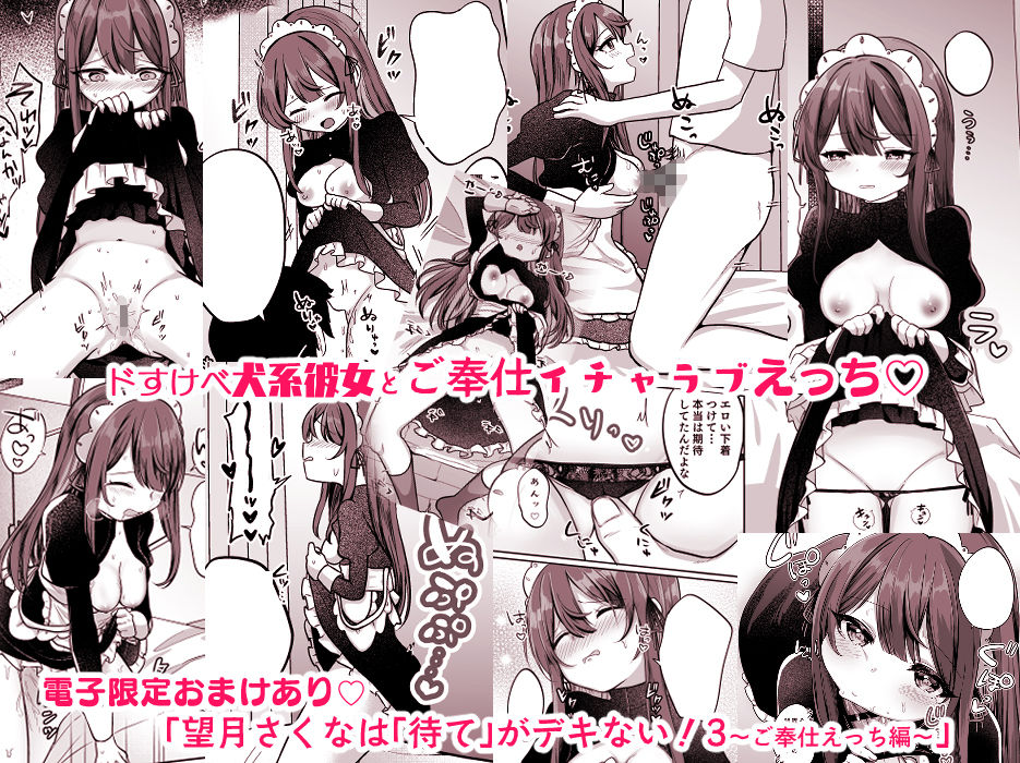 サンプル画像4:望月さくなは「待て」がデキない！3〜ご奉仕えっち編〜(I miss you！！) [d_395475]