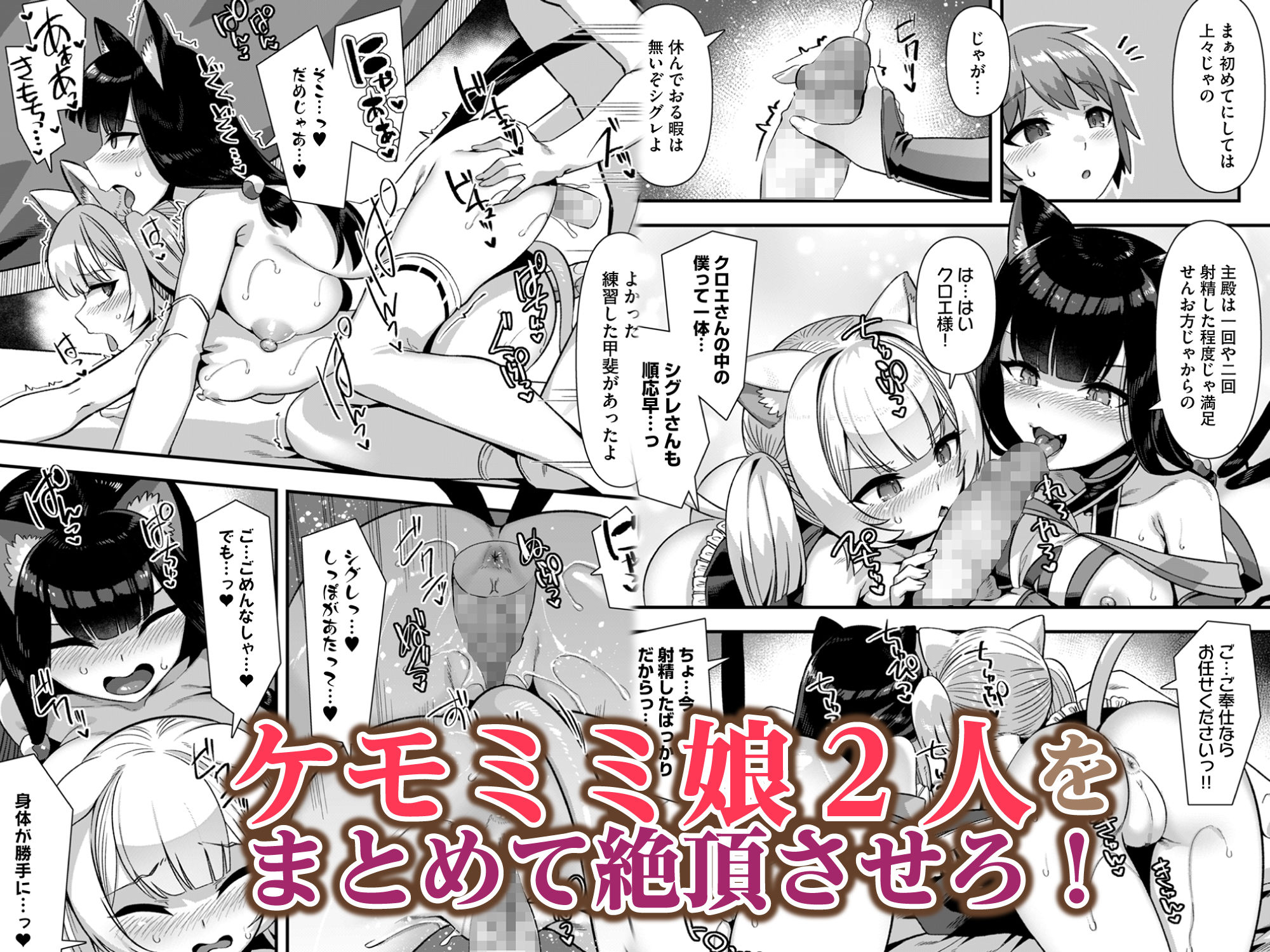 サンプル画像2:巨乳巫女姫と美乳従者が揃って子種を求めてくるケモミミ絶頂ハーレムエッチ 〜男が産まれない異世界へ召喚された俺がヒロインを充てがわれて子作りエッチ6〜(りふれぼコミック) [d_409282]