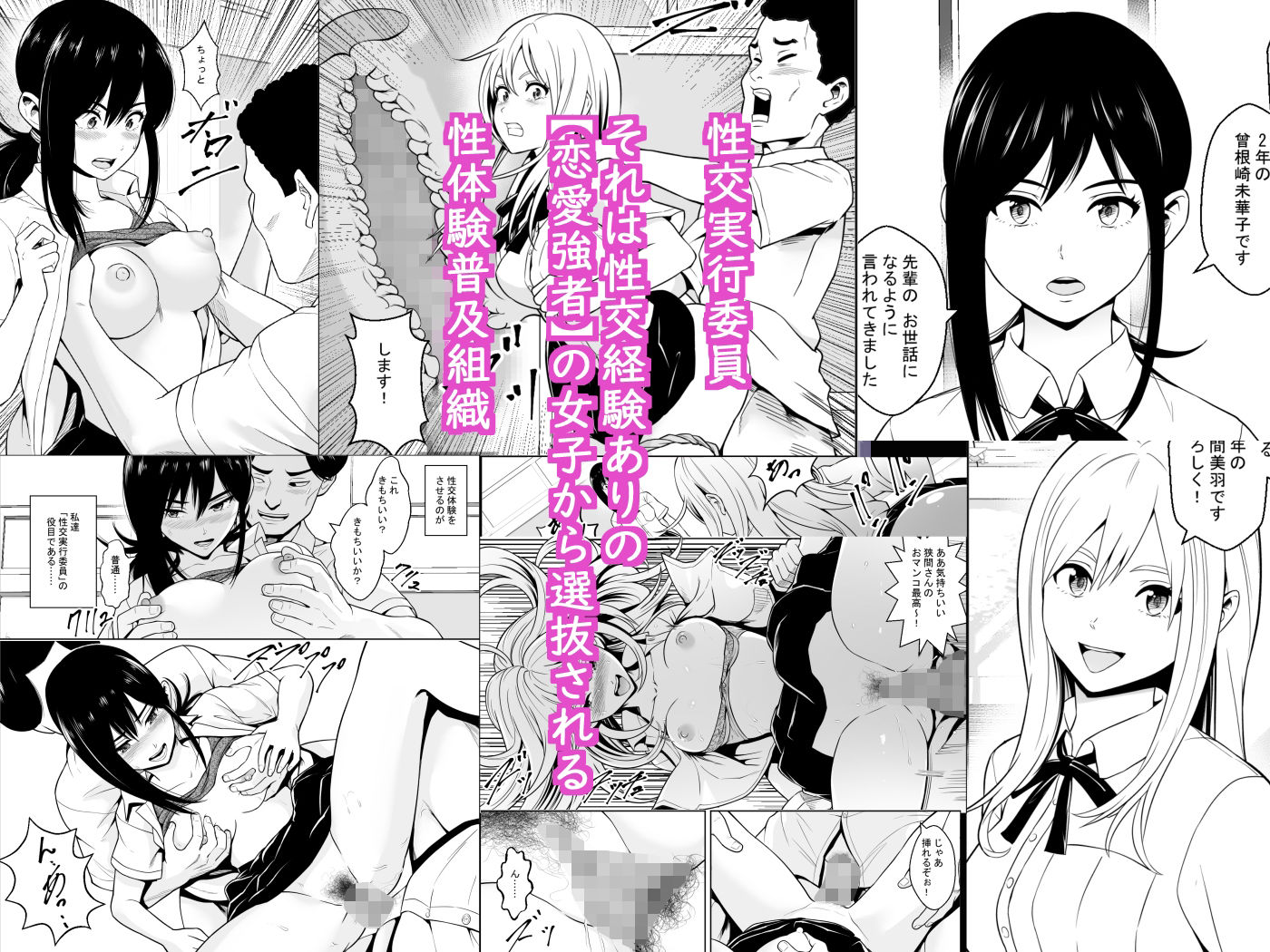 サンプル画像1:性交実行委員(フリーダムプロフェット) [d_417740]