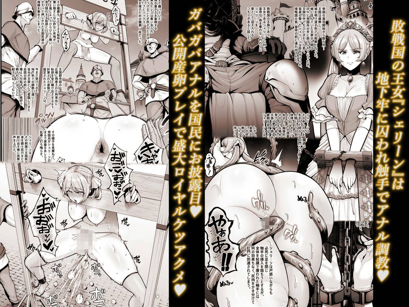 サンプル画像3:国辱の雌隷 -Fallen kingdom-(とっくうき1号) [d_430658]