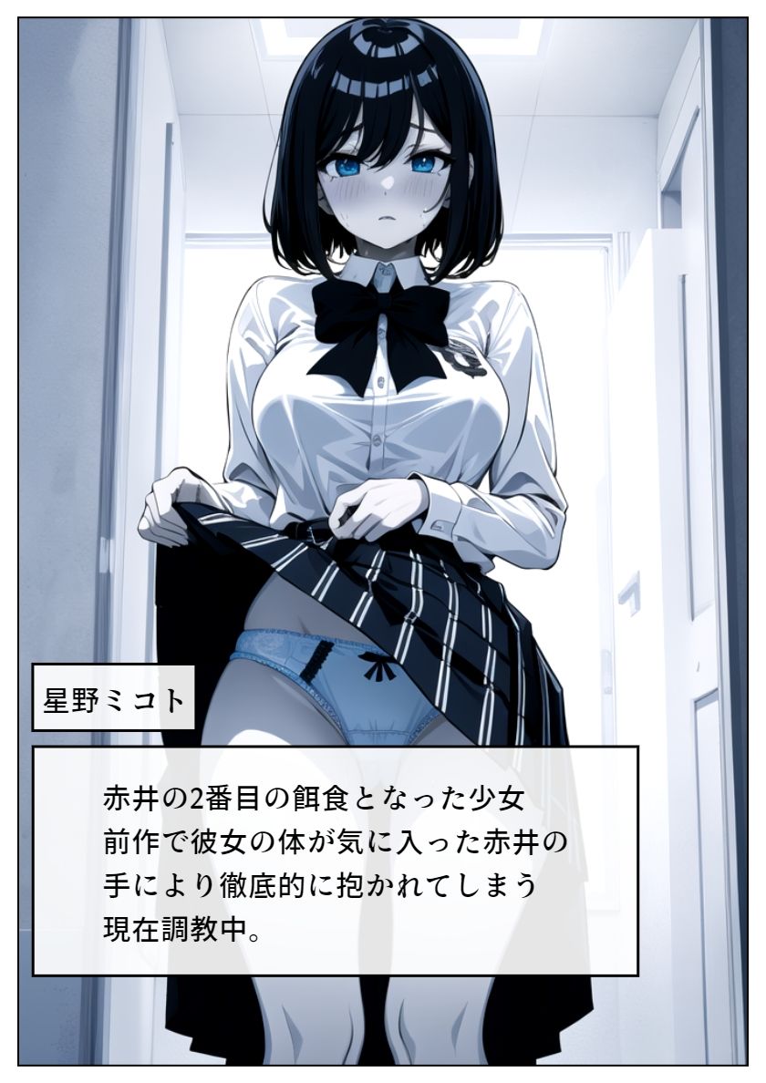 サンプル画像2:パパ活へのキケンすぎる誘い 清楚彼女が堕ちていく3(雷覇) [d_433430]