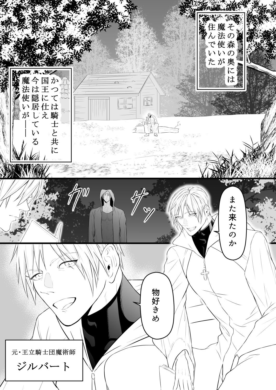 隠居した恩人である最強魔術師に淫紋が刻まれていましたの画像2