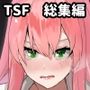 TS娘コダマちゃんまとめ本
