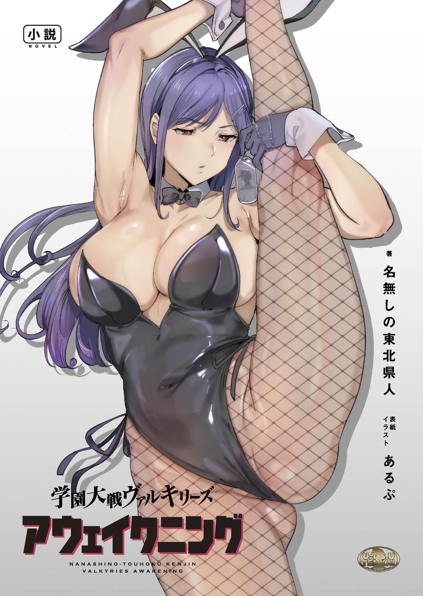 サンプル画像2:学園大戦ヴァルキリーズ コールド・ギア＆アウェイクニング リマスター版ダブルパック(ウツテンカイ) [d_438625]