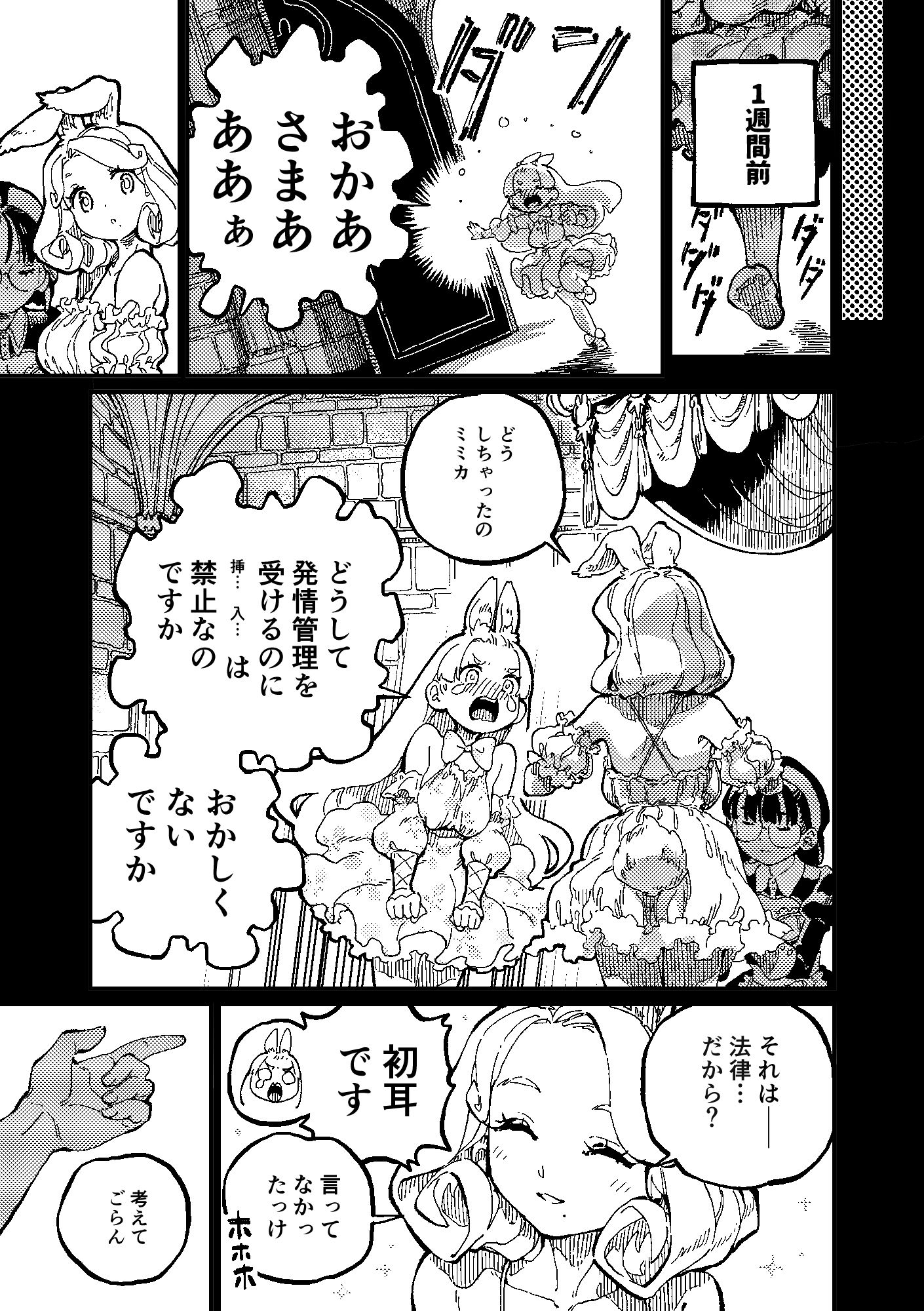 MIMIKA2の画像2