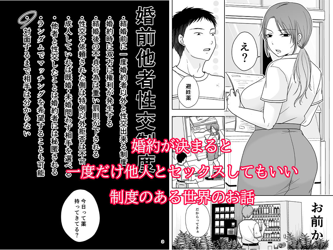 サンプル画像2:婚前他者性交制度2(TTSY) [d_442432]