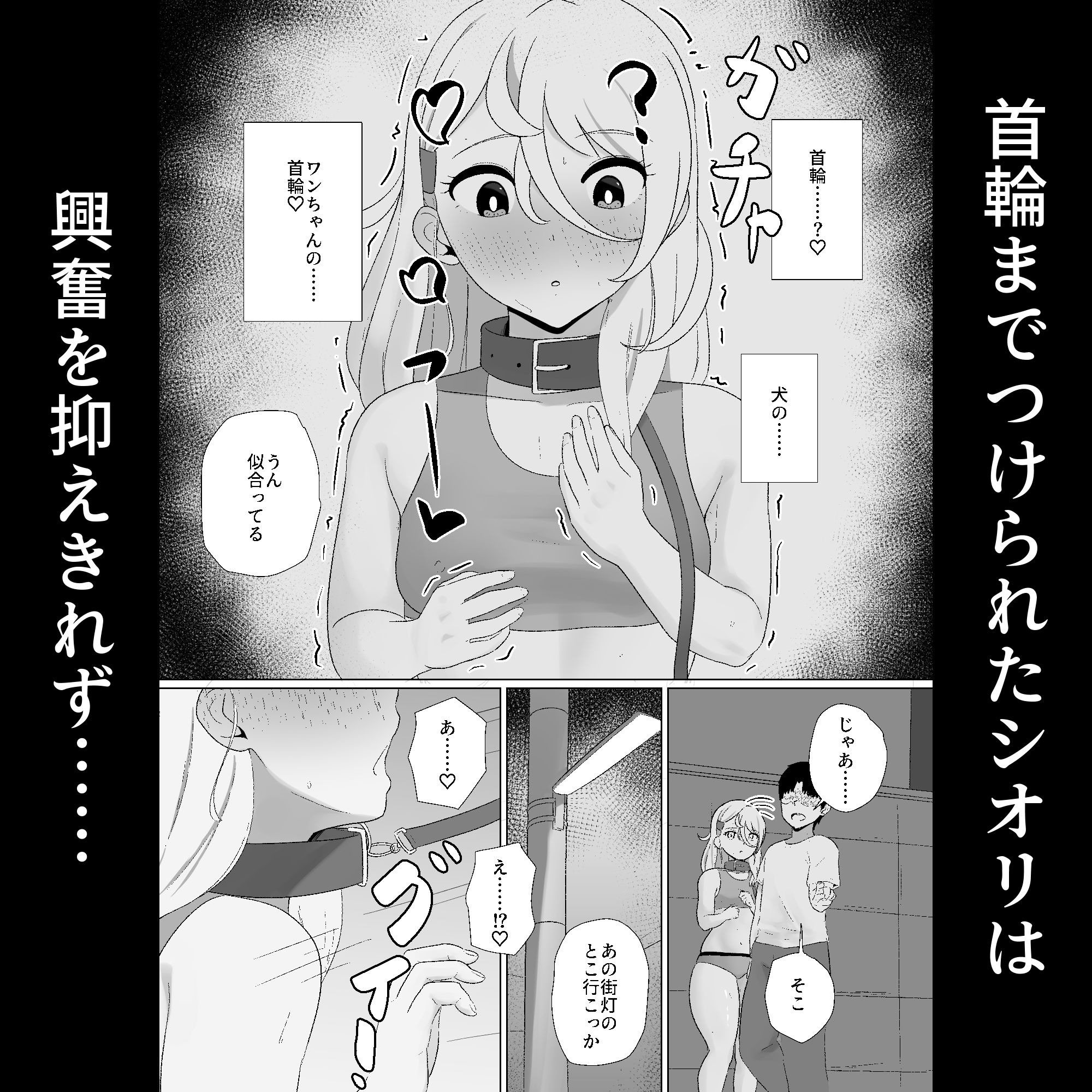 サンプル画像6:無口な彼女の絶頂我慢『深夜の野外露出編』(十色亭) [d_444832]