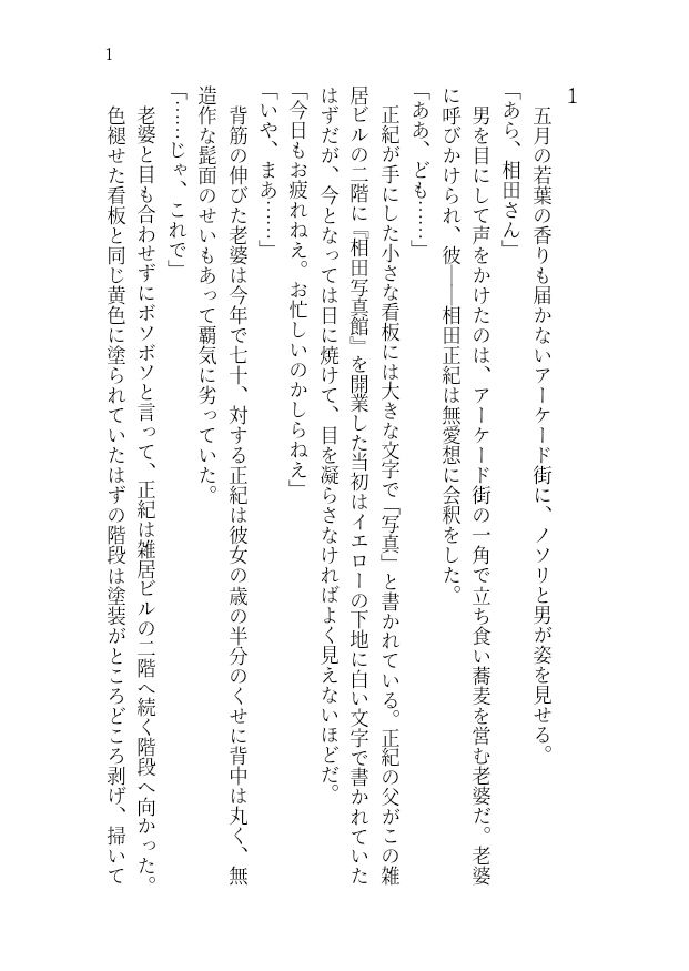 サンプル画像3:【官能小説】アイドル志望女子大生 強●ハメ撮り【レ●プ凌●】(高牧園) [d_446742]