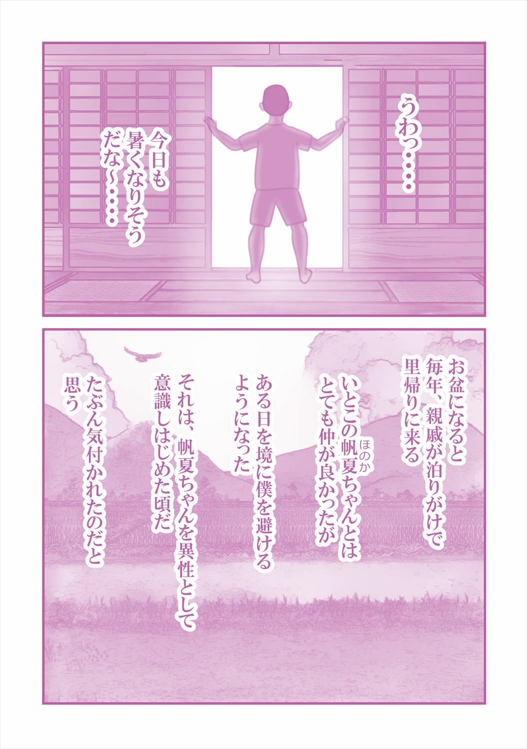 サンプル画像1:いとこの帆夏ちゃんに媚薬を使った夏の夜(案山子) [d_448409]