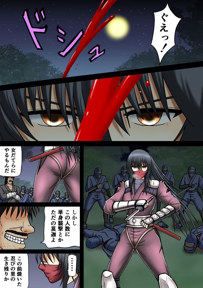 サンプル画像3:敗辱娘淫虐総集編(空に鳥が) [d_452323]