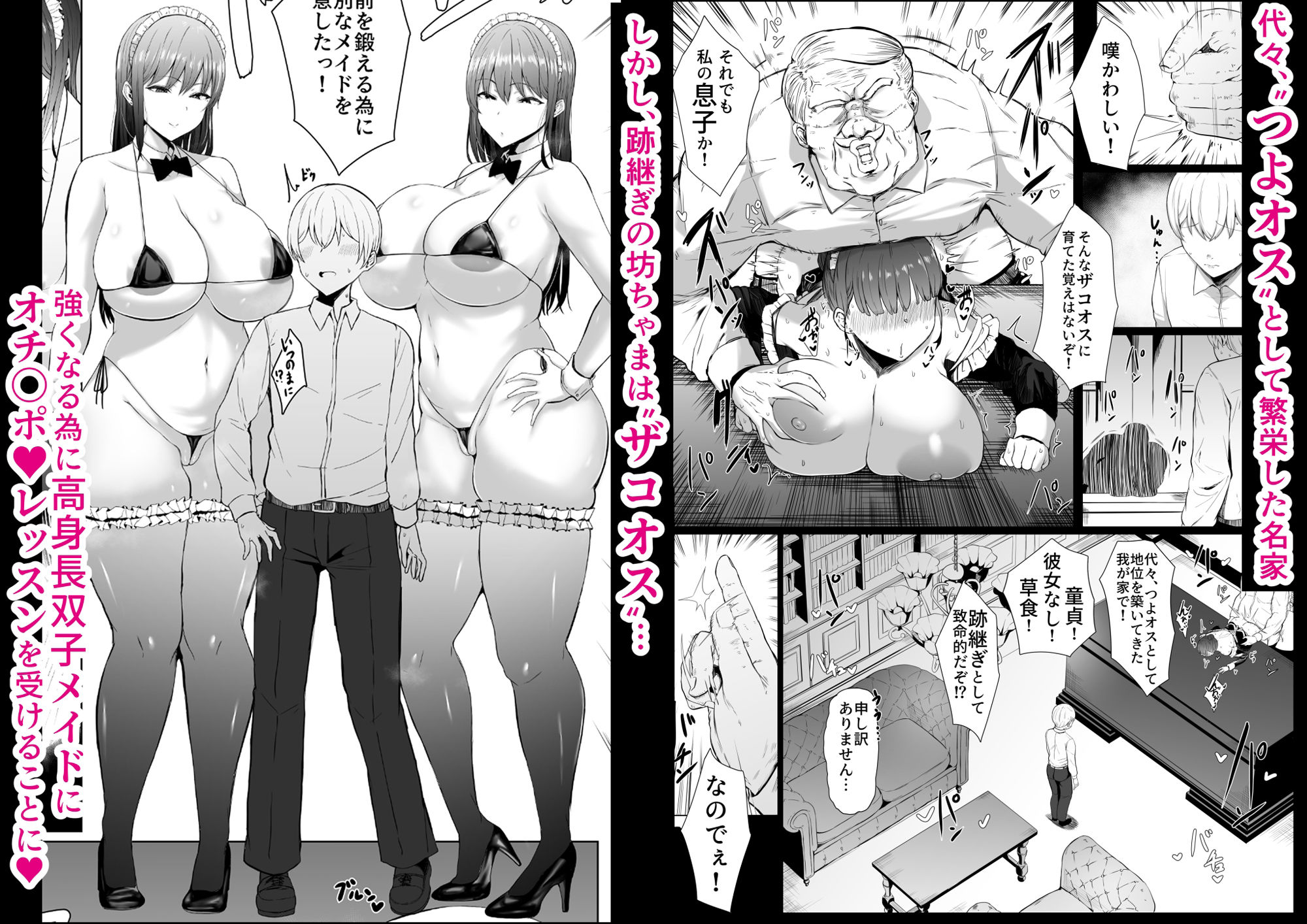 サンプル画像2:高身長双子メイドのオチ〇ポレッスン(情緒安亭) [d_459238]