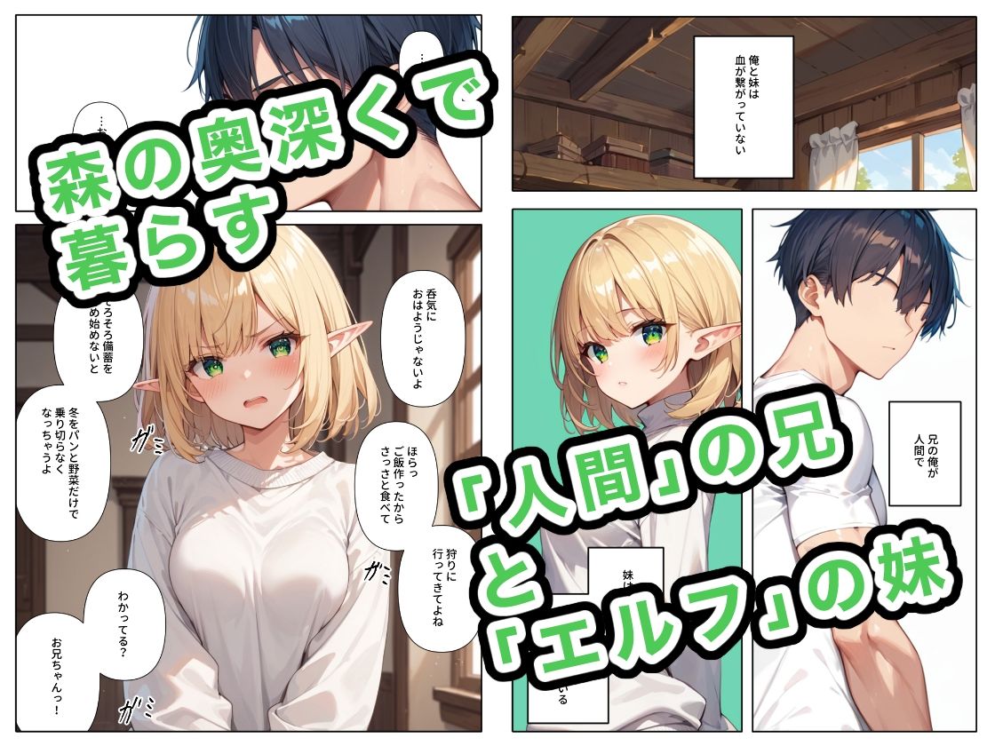 サンプル画像1:妹エルフは引きこもりたい(ステーキくん) [d_467906]