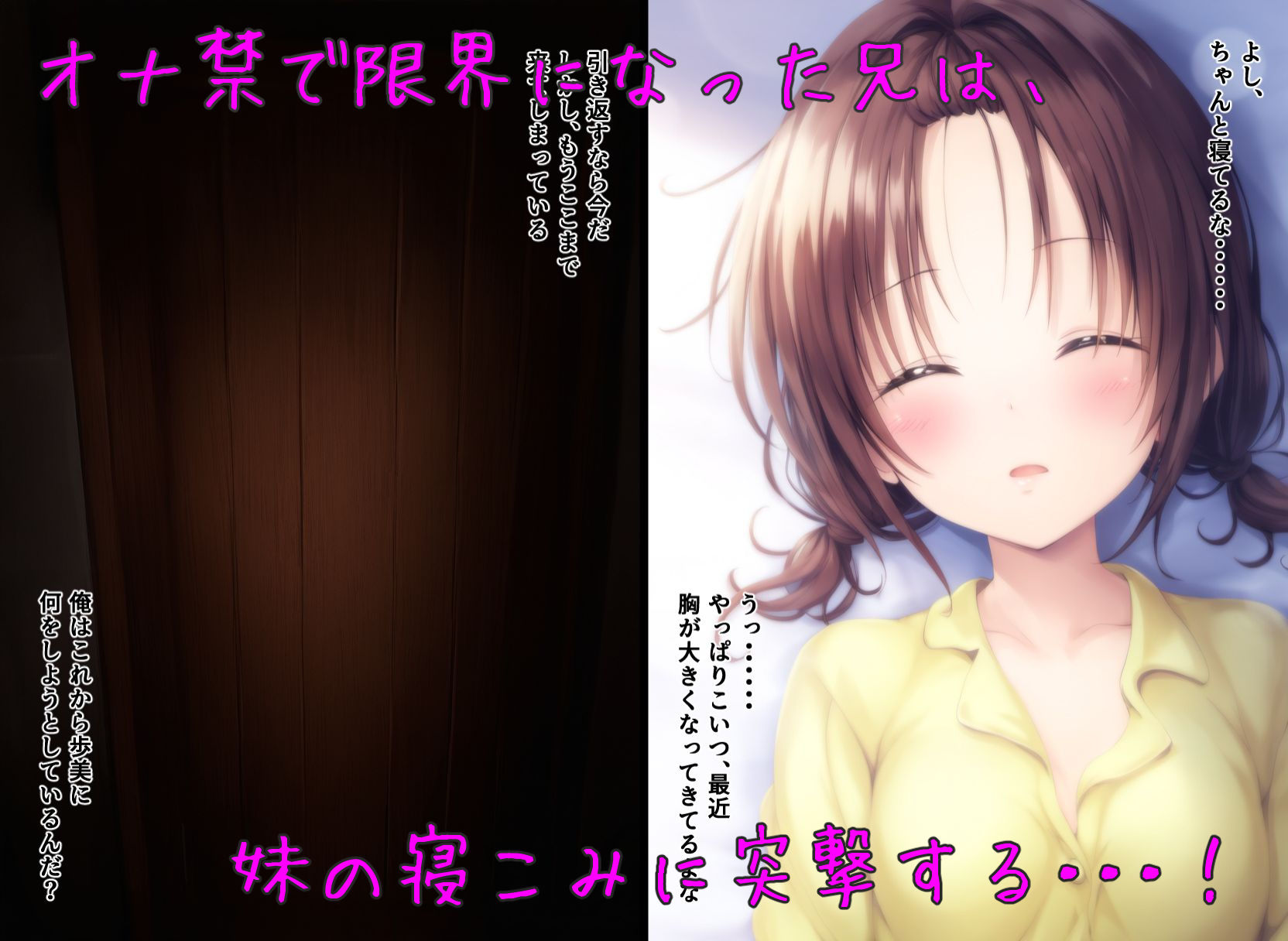 サンプル画像2:オナ禁で性欲が限界まで高まった結果、妹の寝込みを襲ってしまった件(ドグマの館) [d_476371]