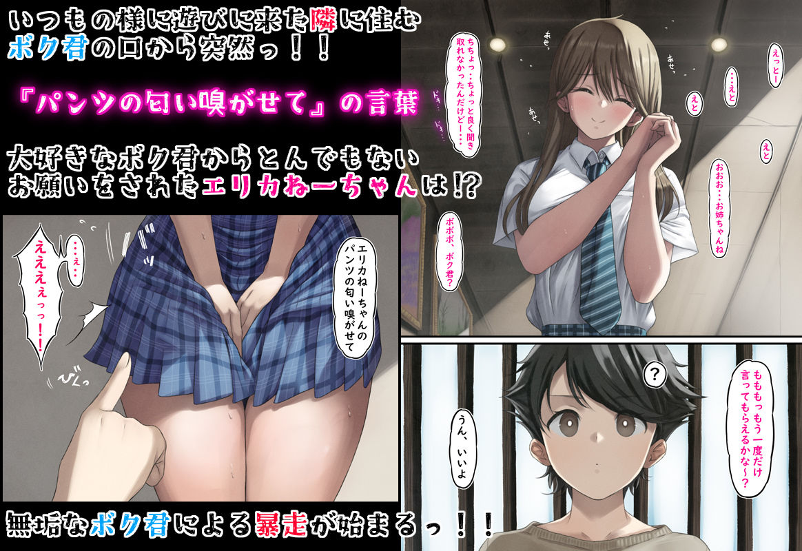 サンプル画像1:汗だくエリカねーちゃん(なでなでしこしこ) [d_477489]