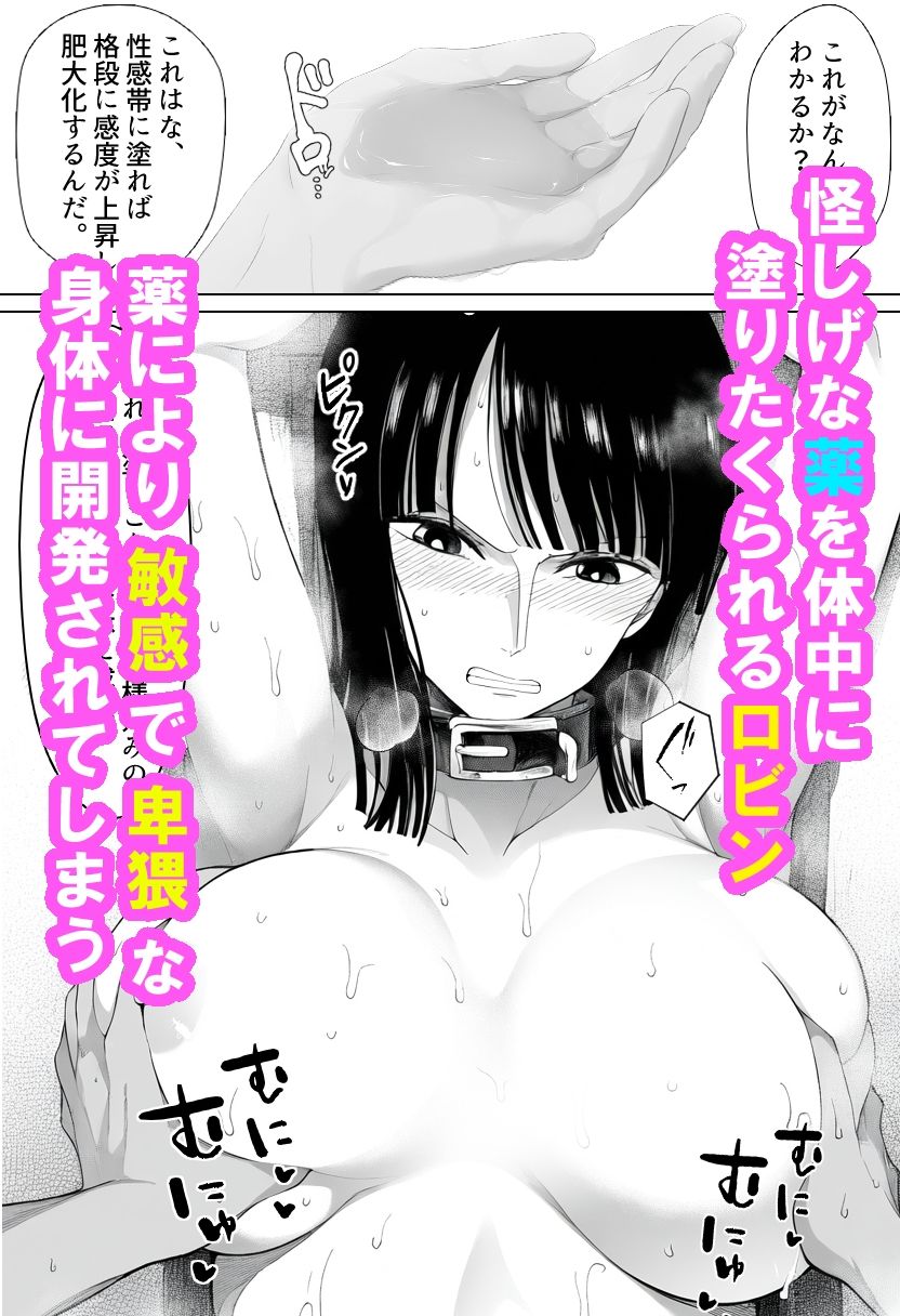 サンプル画像3:女考古学者の堕とし方(ベリZ) [d_480131]