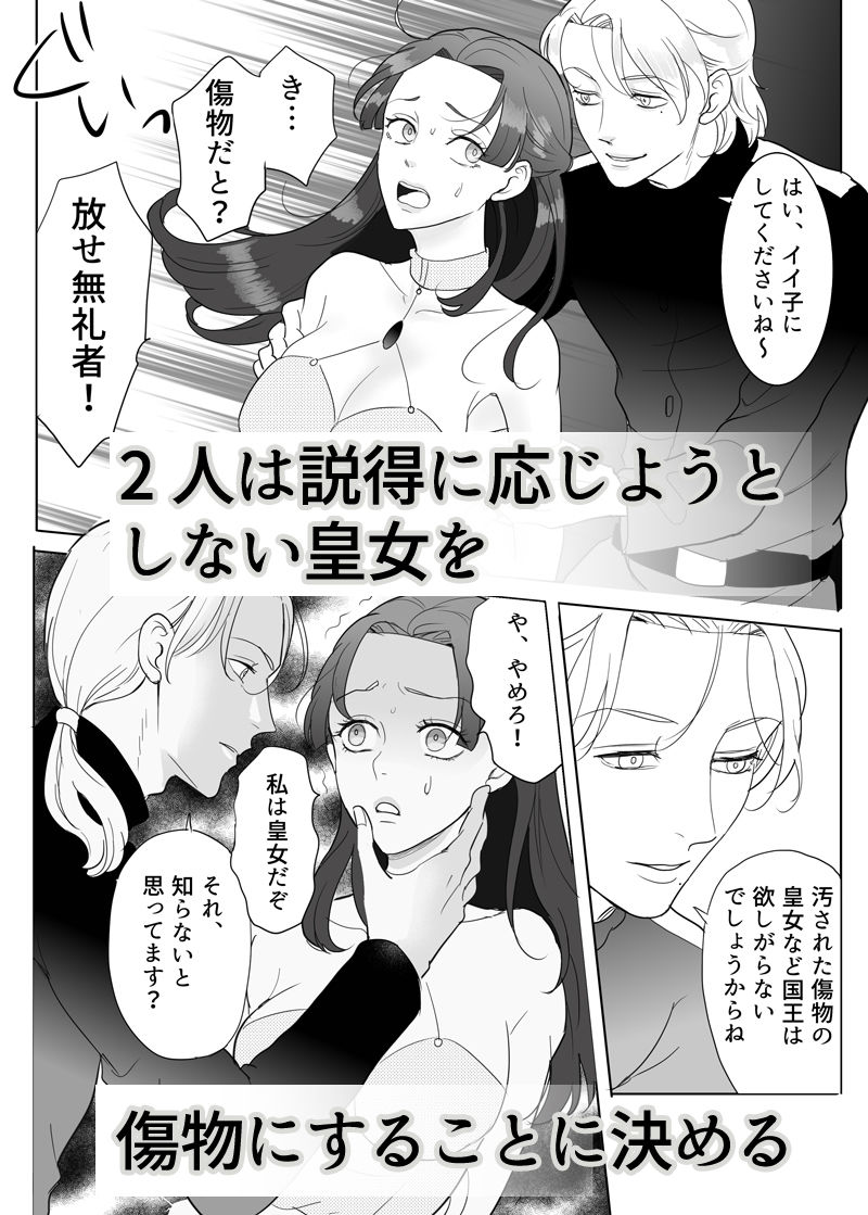 忠実?な騎士兄弟は傲慢皇女様を肉便器にしたいの画像6