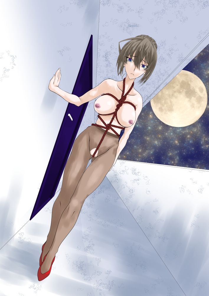 サンプル画像1:人妻奴●飼育マンション・序(F・A) [d_482923]