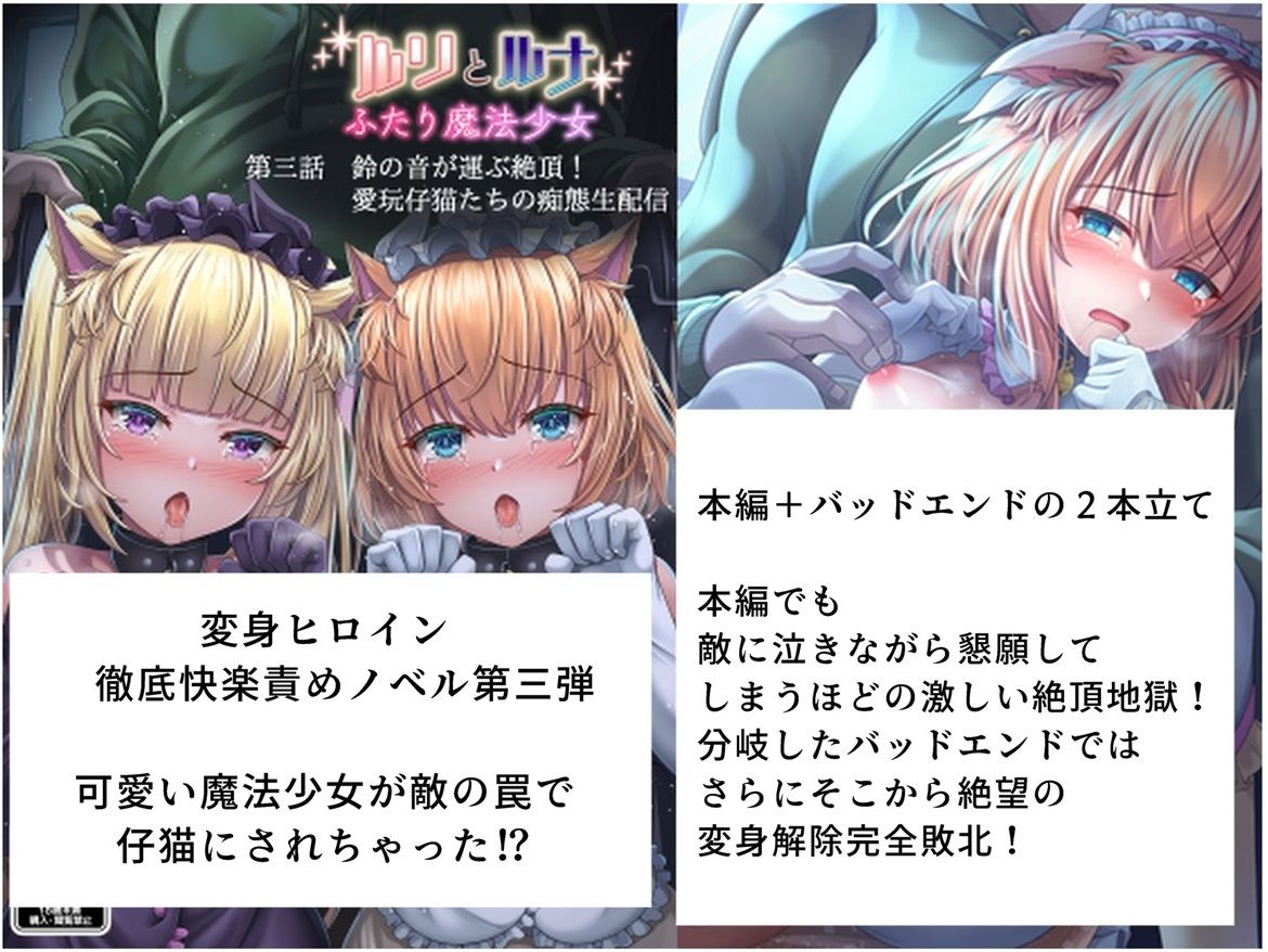 サンプル画像1:『ルリとルナ』第三話:鈴の音が運ぶ絶頂！  愛玩仔猫たちの痴態生配信(陵魚庵) [d_484241]