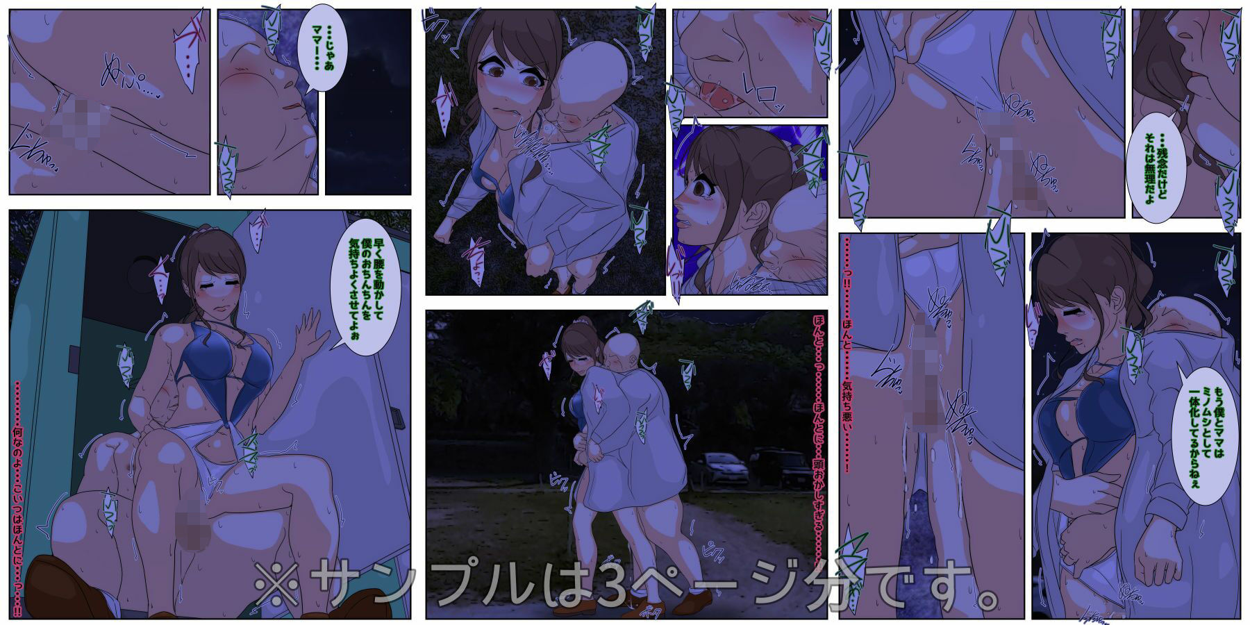 サンプル画像2:ぼくのママがおじいちゃん一味に夜通し中出しされ続けました。 野外セックス編 完全版(Sistny＆Anasis) [d_484263]