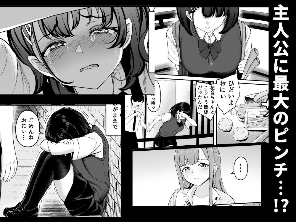 お家ハーレム！？  Sっ気の義妹とMっ気の幼馴染！の画像10