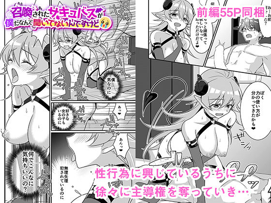 サンプル画像2:召喚されたサキュバスがボクだなんて聞いてないんですけど（はーと）(TSFのF) [d_492105]