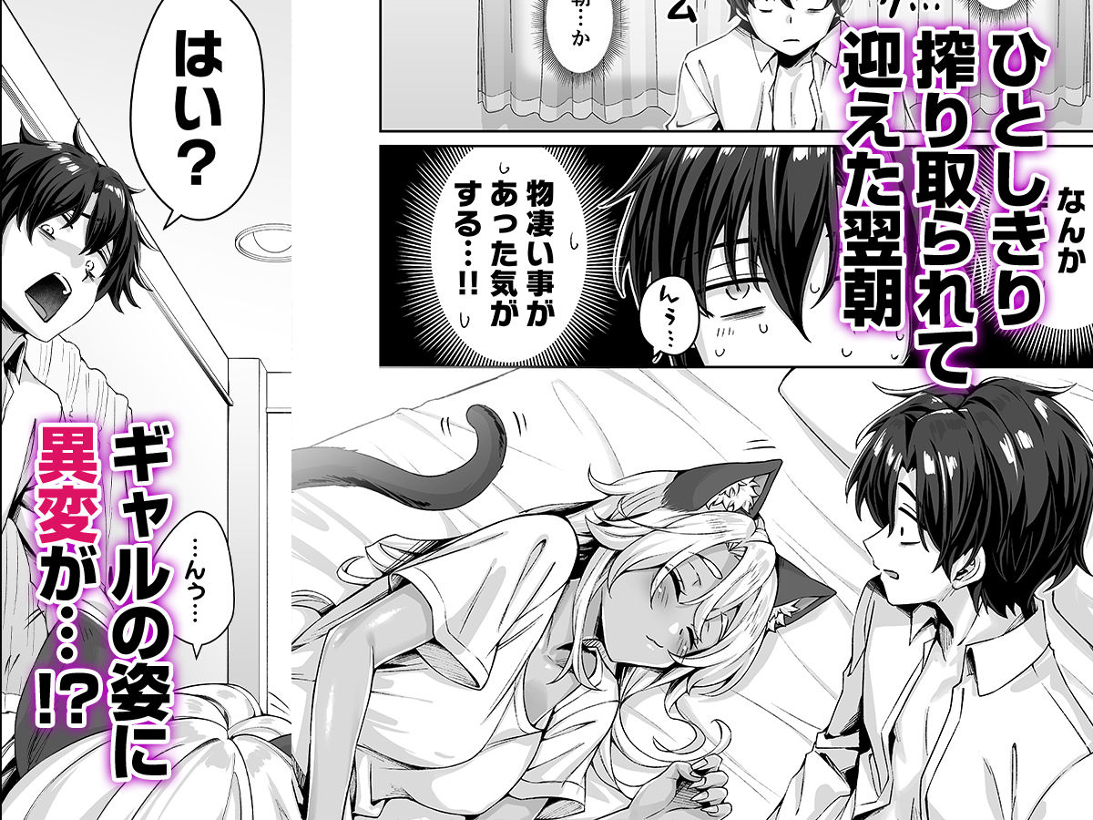 サンプル画像6:ギャル猫娘がうちに住み着いてなぜか毎日3P三昧になってしまう話(KOYUKI屋) [d_492203]