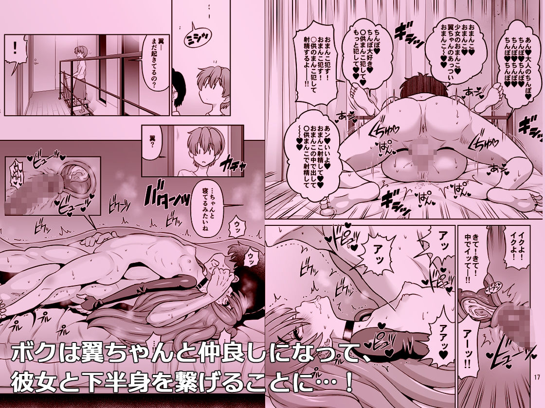 サンプル画像2:Hの最中に鼻血を出しちゃうオトコマエでかわいい翼ちゃん(DOZA Village) [d_493716]