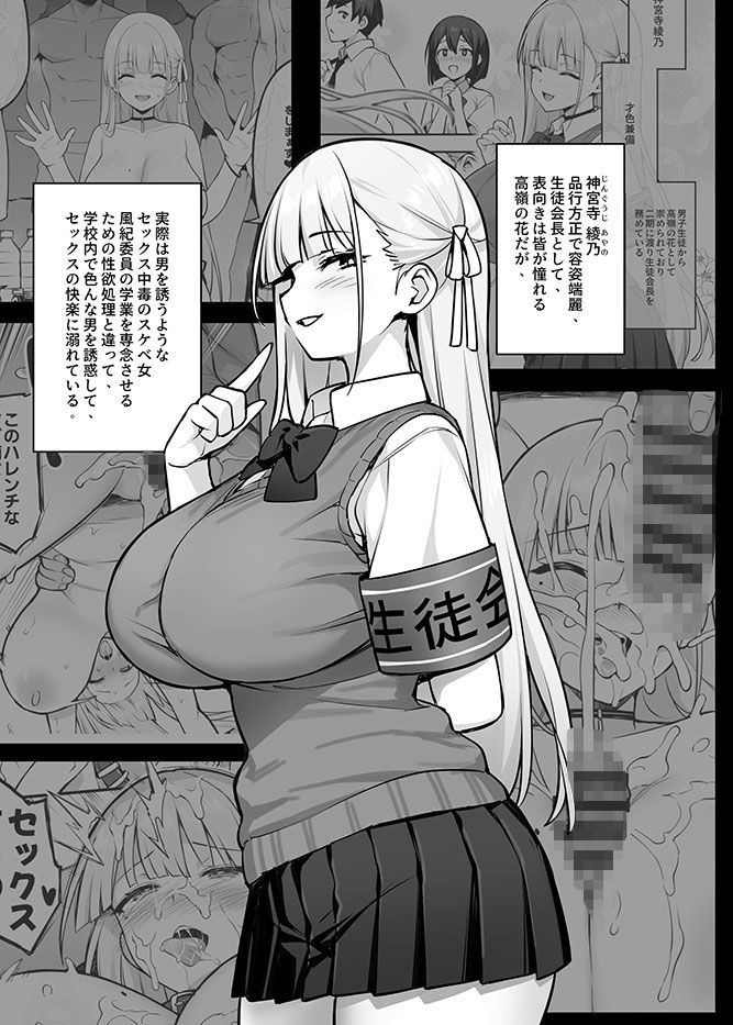 サンプル画像1:憧れの生徒会長が巨乳すぎる件 2(TRY＆方言二人社会) [d_498493]