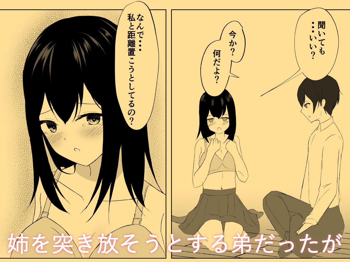 サンプル画像2:年子の姉と(青春パルス) [d_498775]