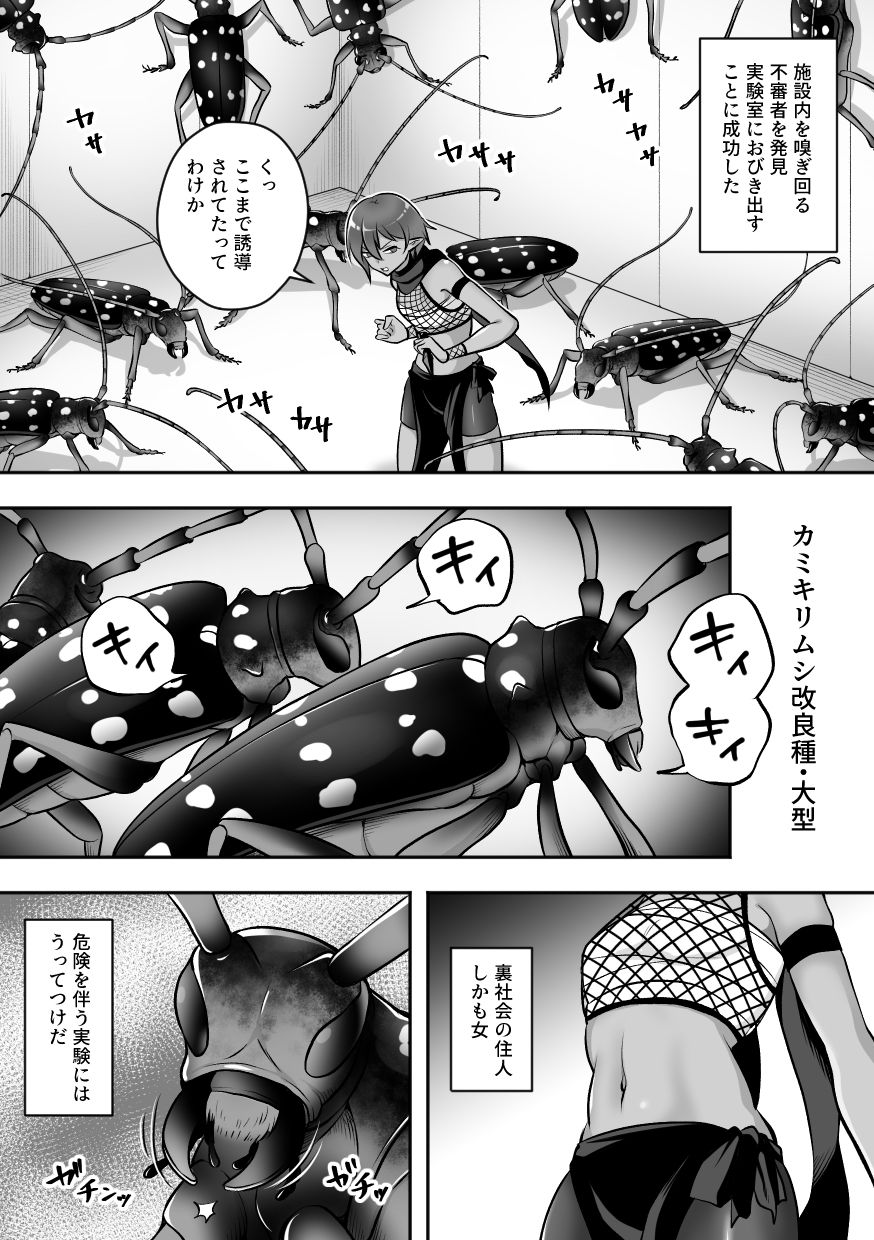 サンプル画像3:昆蟲研究所3(速攻からあげ) [d_502413]