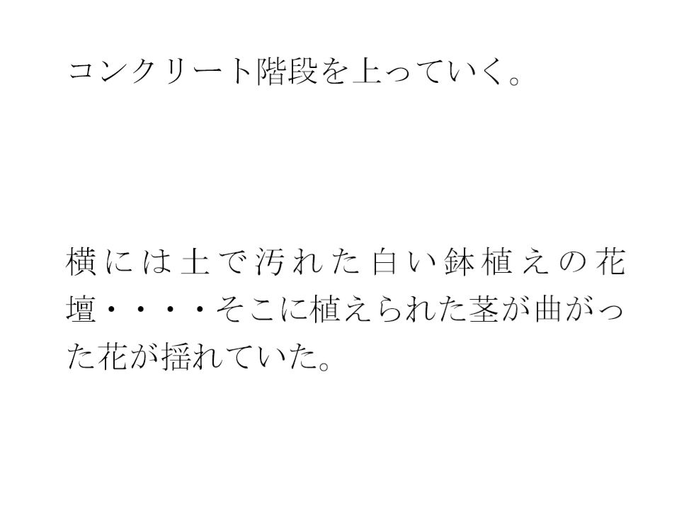 サンプル画像3:鉄の屋根の小屋・・・長いコンクリート階段を上り終えたあと現実の街へ(逢瀬のひび) [d_503084]