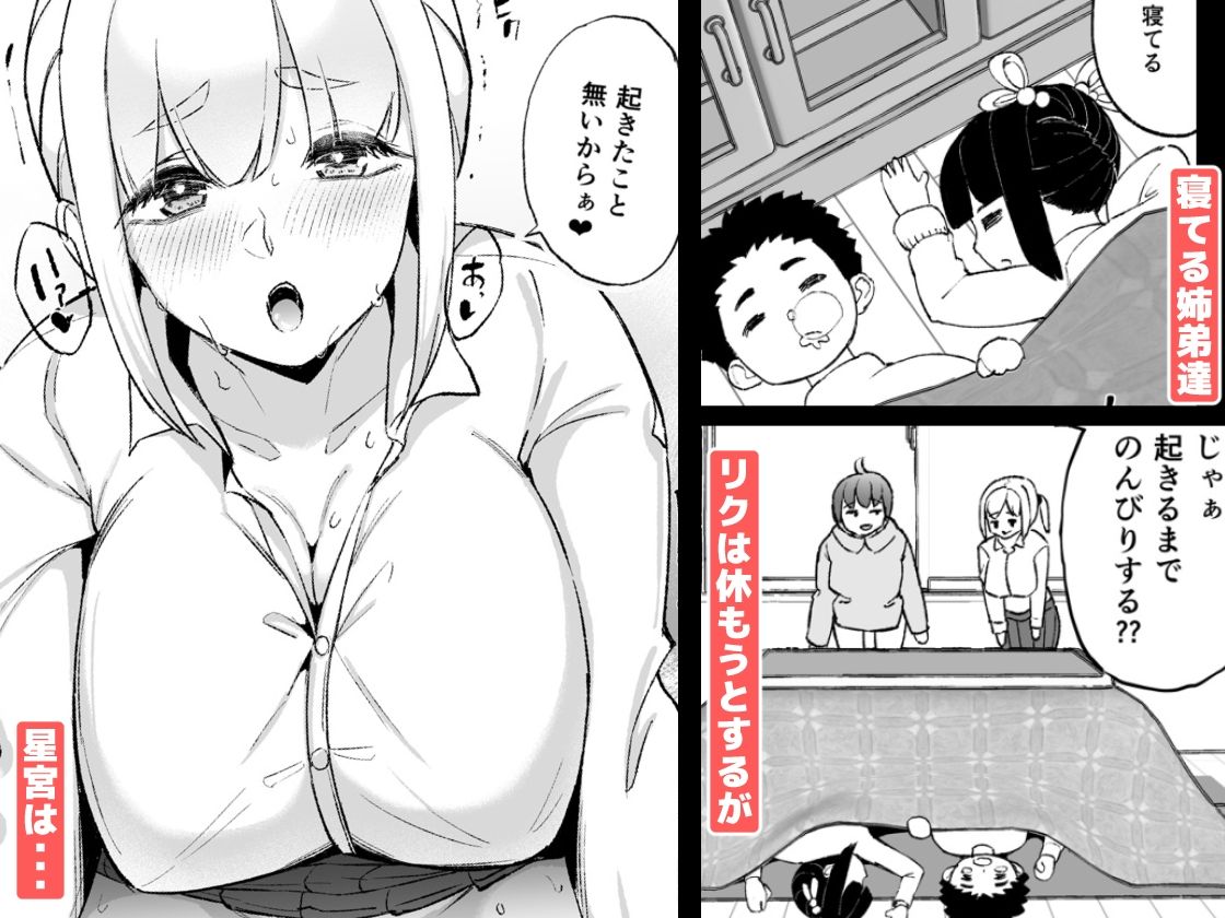 サンプル画像6:大晦日だってセックスしかヤることがない！(TEILTYPE) [d_506104]