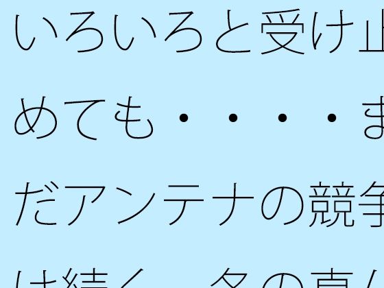 いろいろと受け止めても・・・・まだアンテナの競争は続く  冬の真ん中の朝・・・・・