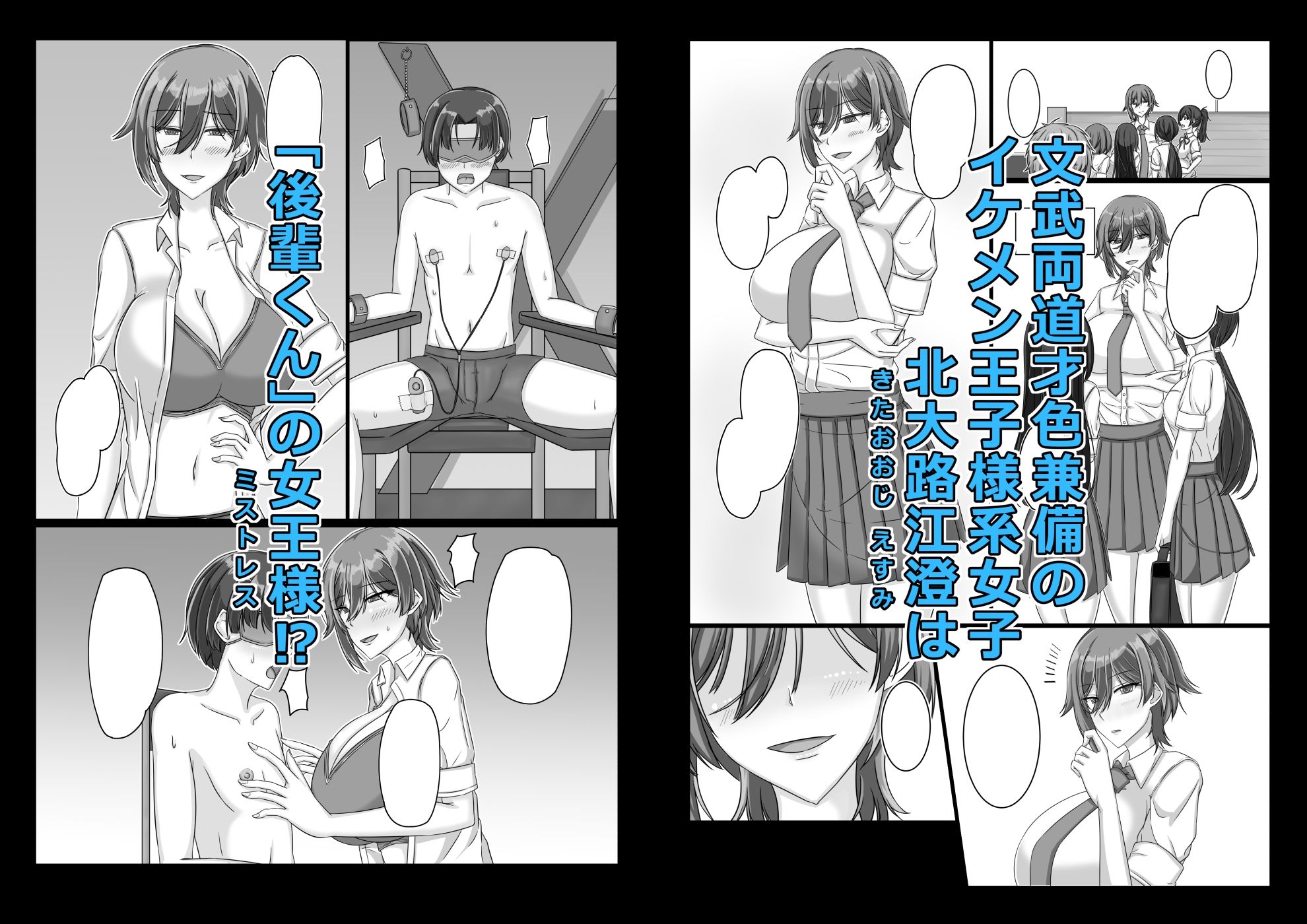 サンプル画像2:王子様（プリンス）♀は女王様（ミストレス）(為江本舗) [d_514614]