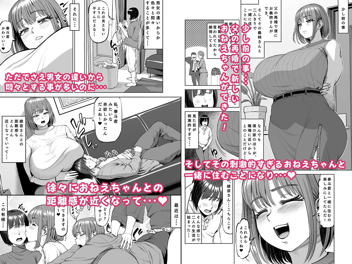 サンプル画像1:おねえちゃんと仲良し性活(あ〜る工房) [d_520717]