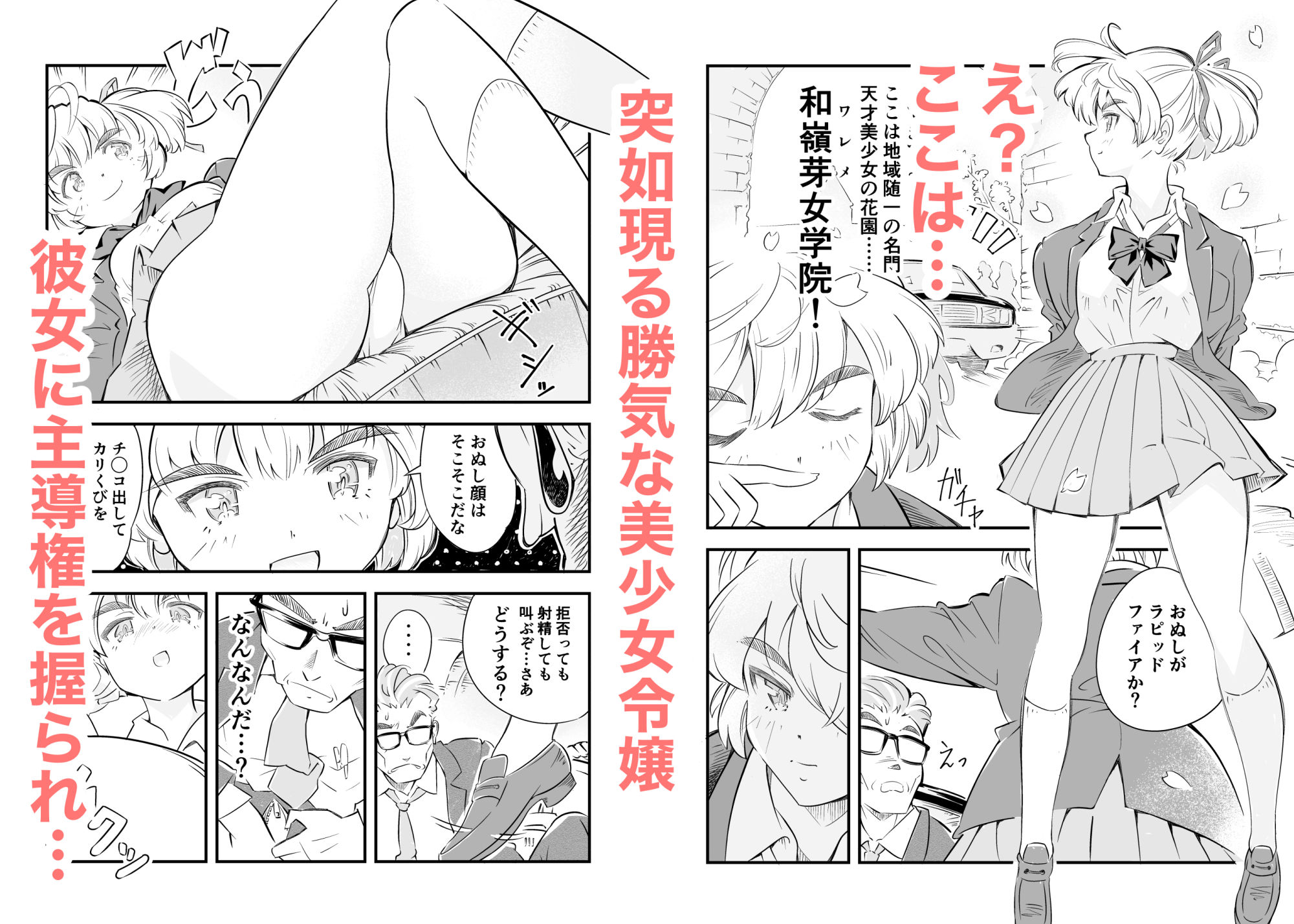 サンプル画像3:家出令嬢とカーセックス逃避行(ミッドナイトピクチュア) [d_525427]