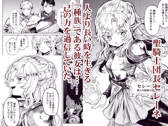 サンプル画像1:聖騎士団長様は婬術の治療のために娼館へ行きました(蟹村飯店) [d_530878]