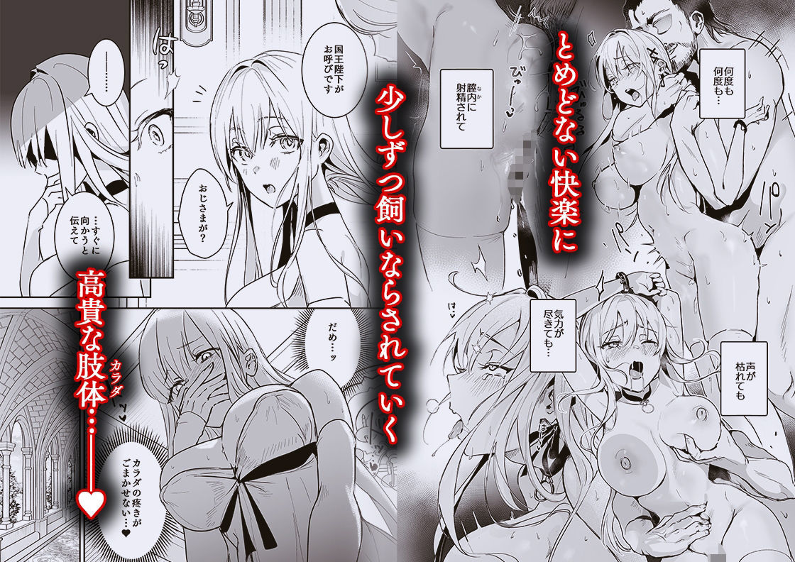 サンプル画像2:王女陥落2(吉田Killy) [d_533195]